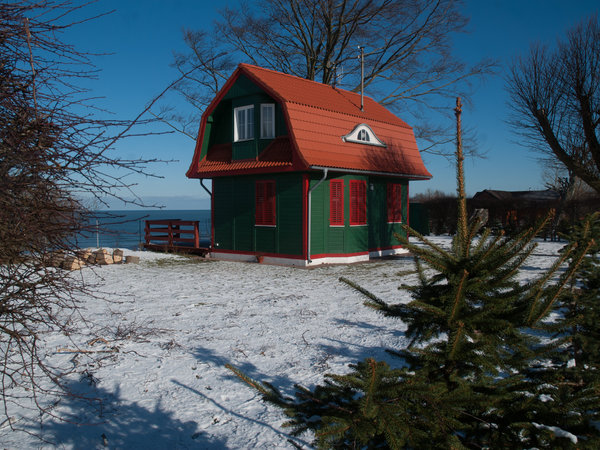 Poddąbie zimą — zdjęcie 12